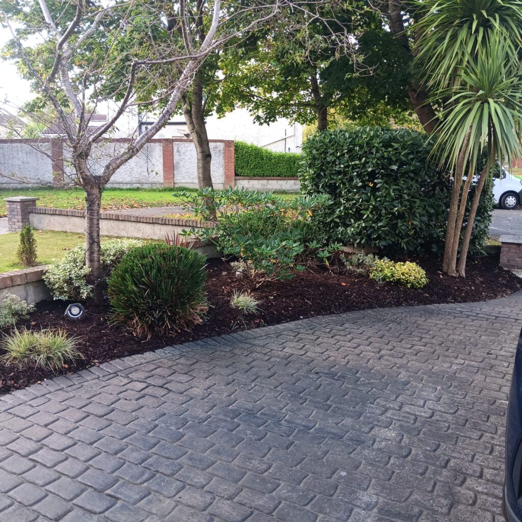 Garden design with native plants in Louth