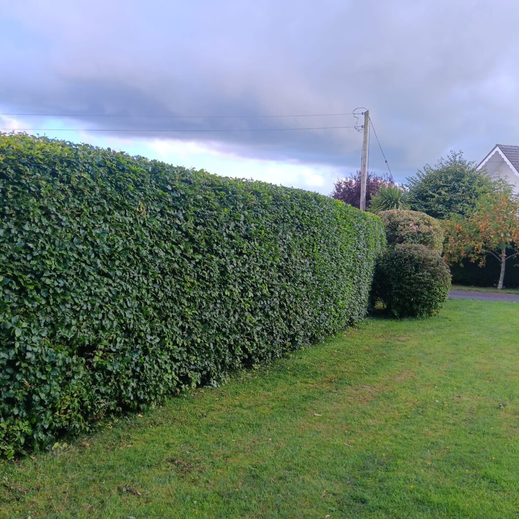 landscaping meath